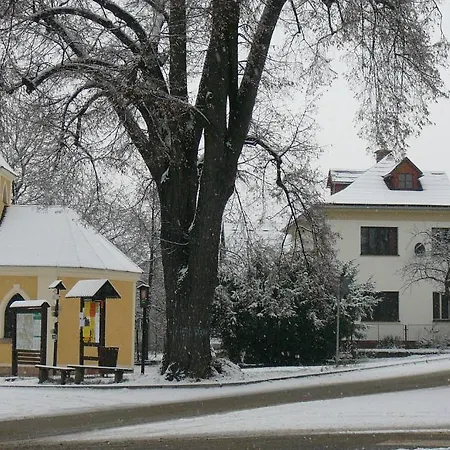 Guest house House 4*